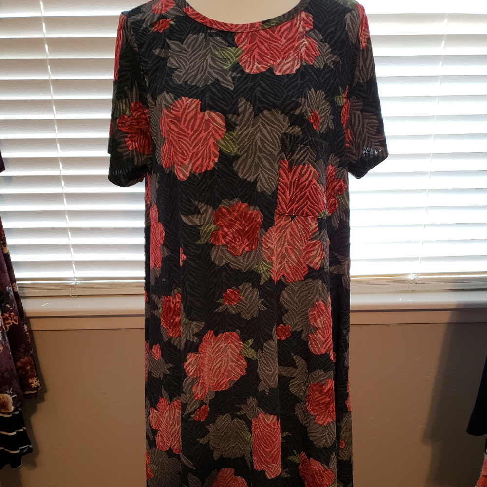 NWOT LuLaRoe Carly Dress